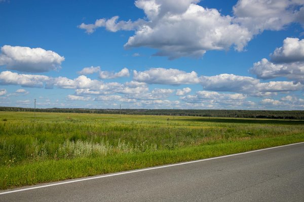 Zeturf Casino 50 Free Spins