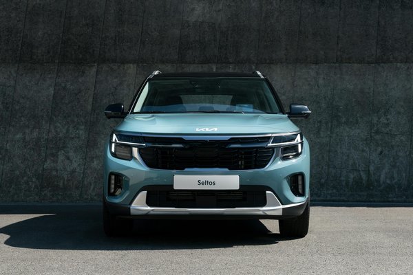 Casinorex 50 Free Spins