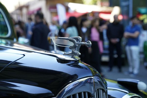 Couleur Des Cotes De Roulette