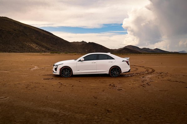 Wizebets Casino No Deposit Bonus